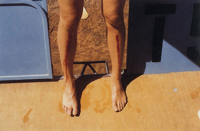 107011b 107011b INTERVIEW: Gil Blank and Stephen Shore in Conversation (2007)